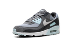 Air Max 90 "Pumice" DM0029 009